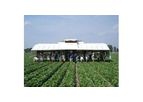 Harvest Booms
