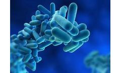 Healthy-Buildings - Legionella Risk Assessment Service