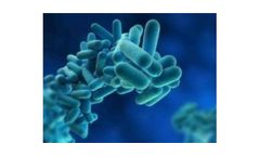 Legionella Control Service