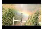 Idrofoglia Irrigation System - Gallery Video
