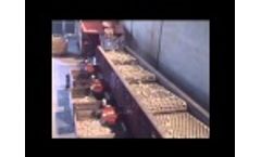 JJBroch - Garlic Grader Video