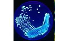 Towertech - Model 1000 - Proportional Timer Controller