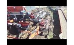 Harriston Mayo - Video