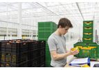 Hoogendoorn - Version work-it - Management Information System for Labor Efficiency, Production and Food Safety