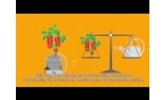Aquabalance - Animation (Subtitled) - Video