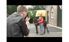 KRONE Kalender 2015 - Behind the Scenes Video
