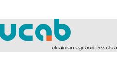 Consultation Services