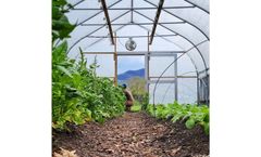 Bobcat - Model BOB1648 - 16' x 48' Greenhouse for Crop Growth