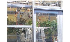 Rimol - Greenhouse Sliding Door with Glass Panel
