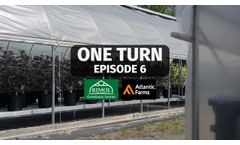One Turn Episode 6 Atlantic Farms goes over the IPM practices, plant work and the genetics they run. - Video