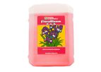 FloraBloom - Hydroponic-Based Advanced Nutrient System