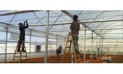 Gildan - Model G8 - Poly Greenhouses