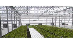 Gildan - Model G9.6 - Closed Roof Poly Greenhouses