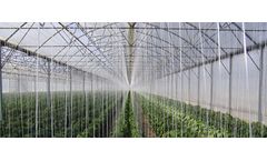 Gildan - Model V9.6 - Fixed Vent with Curtain Greenhouses