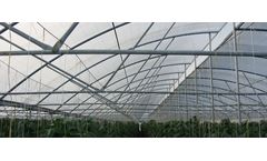Gildan - Model V12 - Fixed Vent Poly Greenhouses