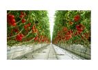 Rufepa - Venlo Glass Greenhouses