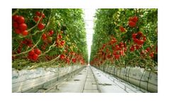 Rufepa - Venlo Glass Greenhouses