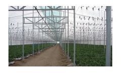 Rufepa - Model Parral or Almeria Type - Plastic Greenhouse