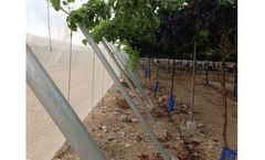 Rufepa - Nethouse for Table Grape