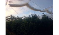 Rufepa - Folding Roof Nethouse