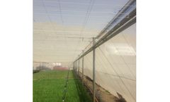 Rufepa - Nursery Nethouse
