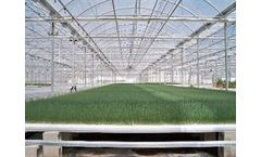 Rufepa - Multispan and Gothic Greenhouses