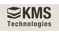 Integration of EM and Seismic Services