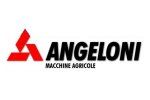 Furrow plow Angeloni out by TRACTORUM.IT Video