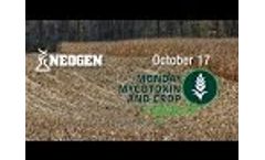 Monday Mycotoxin and Crop Report for October 17, 2016 Video