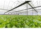 Coolmerchant - Greenhouse Watering System