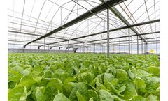 Coolmerchant - Greenhouse Watering System