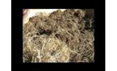 WP6 - Vertical Mix Wagon Video