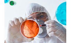 WHS - Water Hygiene Services