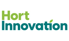 Market Access and Development Services