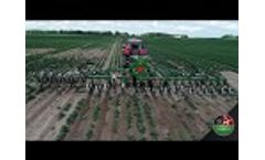 TRV Swingking - Inter Row Cultivator - 2 x 6 meter (12 meter) | Thyregod - Video