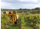 Gregoire - Grape Harvesters