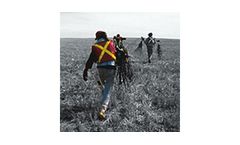 Land Oil & Gas