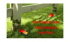 Fence Line Mowers