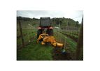 Wrights Wines Organic Vineyard