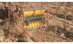 Plant Vineyard Cover Crops
