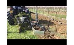 Under Vine Disk - Video