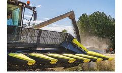 Olimac - Model Drago Gold - Corn Head