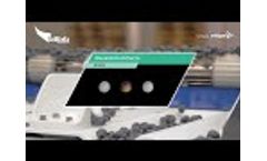 Blueberry Sorting Machine - The Berry Class - Elifabl Vido