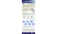 CUT&Tag-Seq—A Powerful Tool for Protein-DNA Interaction Studies