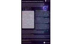 How Can Single-Cell Sequencing Facilitate Tumor Research?