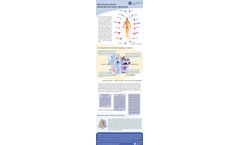 Cancer Panels for Cancer Research