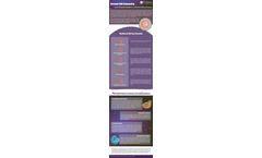 Exosome RNA Sequencing—From Exosome Isolation to Bioinformatics Analysis 
