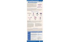 Beyond Sequencing CRISPR Gene Editing Assessment and Quality Control Using Next-Generation Sequencing