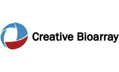 creative bioarray - NK Cells for Research