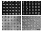 Creative-Bioarray - Cell Using Microcontact Printing Traps